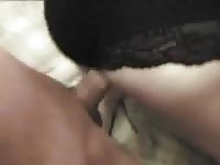 Amateur doggiestyle sex movie