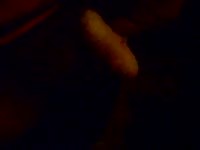 Guy jerking his tiny cock at night